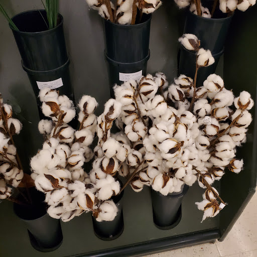 Craft Store «Hobby Lobby», reviews and photos, 2858 Virginia Beach Blvd, Virginia Beach, VA 23452, USA