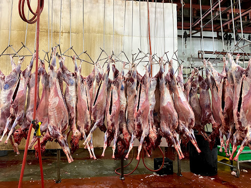 Butcher Shop «Alhoda Market بقالة الهدى», reviews and photos, 304 Prospect St, Cambridge, MA 02139, USA