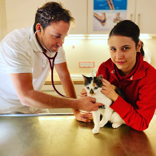 Tierarztpraxis am Feuerteich Dr. med. vet. Sören Düvel unter Hann. Münden, 