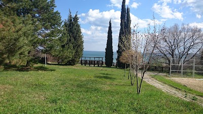 Photos of Vili "Magnoliya" (Iztok)