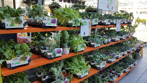 Home Improvement Store «The Home Depot», reviews and photos, 6160 W Behrend Dr, Glendale, AZ 85308, USA