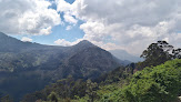 Parque Nacional Enrique Olaya Herrera