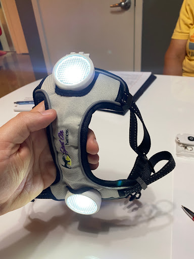 Business Development Service «Prototype House», reviews and photos