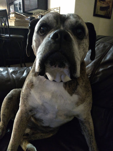 Winery «Treveri Cellars», reviews and photos, 71 Gangl Rd, Wapato, WA 98951, USA