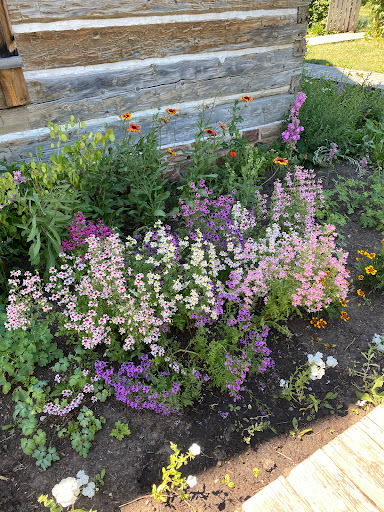 Science Museum «Museum of the Rockies», reviews and photos, 600 W Kagy Blvd, Bozeman, MT 59717, USA