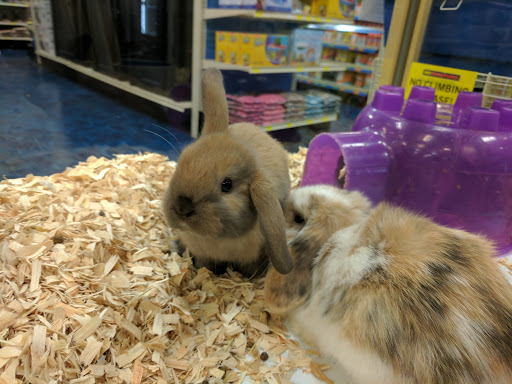 Pet Supply Store «Pet Supermarket», reviews and photos, 3821 S Cobb Dr, Smyrna, GA 30080, USA