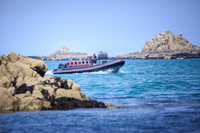vagabonds de la baie à Roscoff
