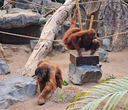 Tierpark Hagenbeck photo