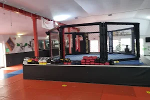 Kampfkunstschule Amaya Fight Club image