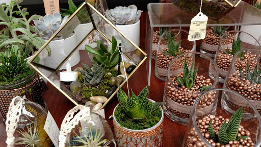 Grocery Store «Safeway», reviews and photos, 1421 Tara Hills Dr, Pinole, CA 94564, USA