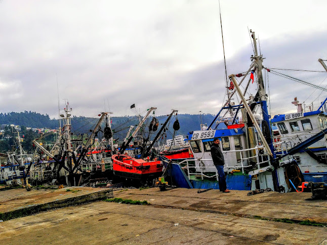 Opiniones de Asociacion de Industriales Pesqueros A.G. en Concepción - Asociación