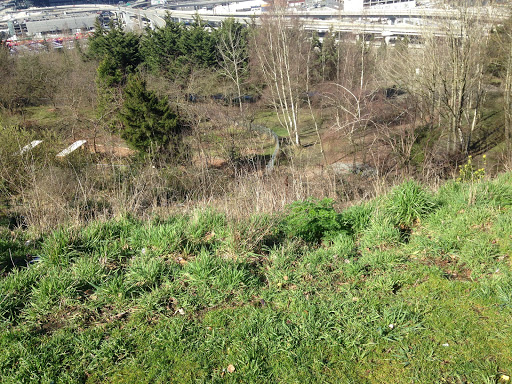 Park «Dr. Jose Rizal Park», reviews and photos, 1007 12th Ave S, Seattle, WA 98144, USA