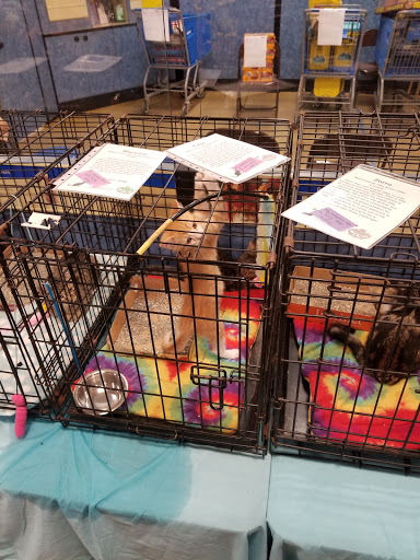 Pet Supply Store «PetSmart», reviews and photos, 3736 SW Archer Rd, Gainesville, FL 32608, USA