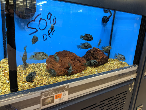 Pet Supply Store «Petco Animal Supplies», reviews and photos, 10 Sylvan St, Peabody, MA 01960, USA