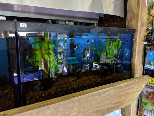 Pet Store «Fin & Feather of Ashland», reviews and photos, 307 S Center St, Ashland, VA 23005, USA