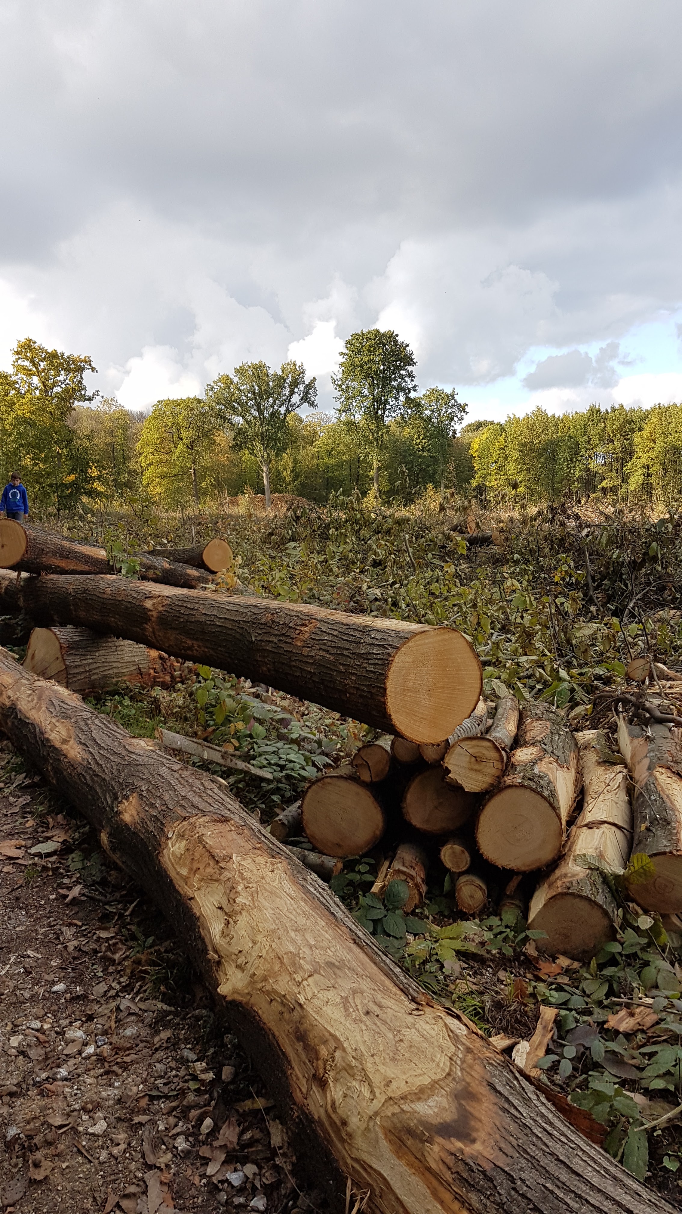Photo n° 14 de l'avis de Brigitte.r fait le 02/11/2020 à 14:23