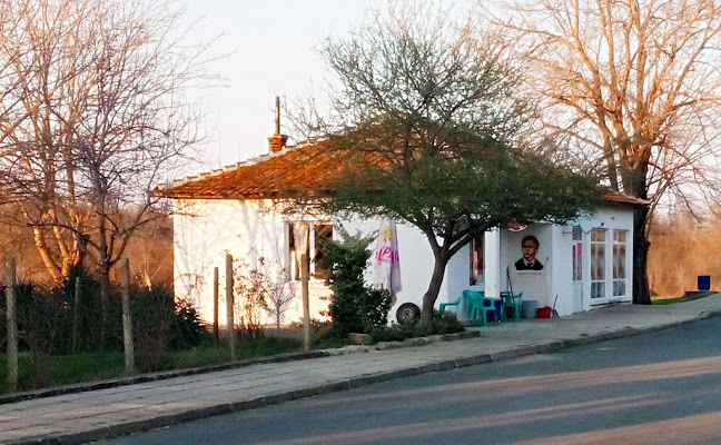 Павильон При Дими