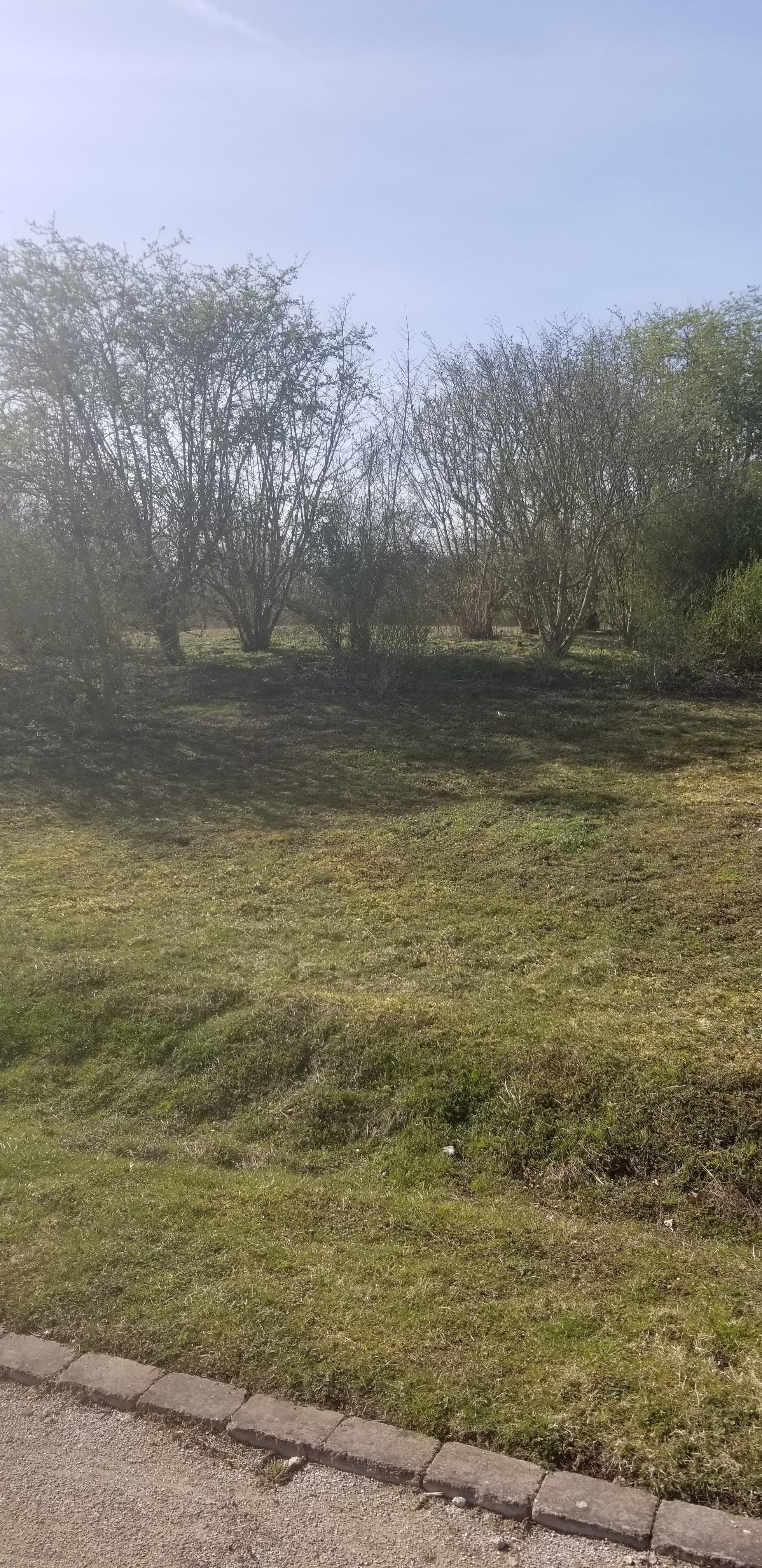 Photo n° 2 de l'avis de Helene.e fait le 29/03/2021 à 15:00