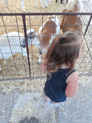 Zoo «Petting Zoo», reviews and photos, 829 E Exchange Ave, Fort Worth, TX 76164, USA