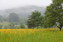 Waterstreet Studio - Photo 2 - Car repair in Charlottesville, VA, Charlottesville