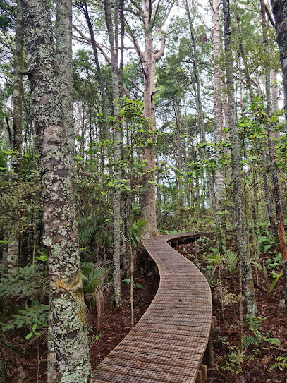 Kauri Bushmans Memorial Scenic Reserve