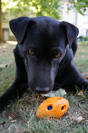 Gramercy Products, Inc.