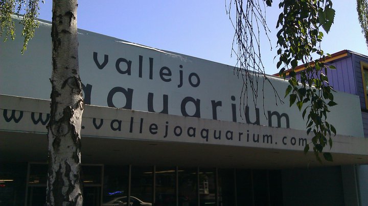 Vallejo Aquarium