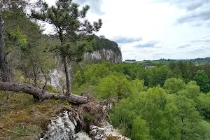 Gipskarstlandschaft Bad Sachsa und Walkenried image