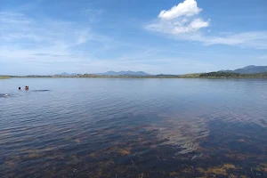 Lagoa de Jacarepiá image