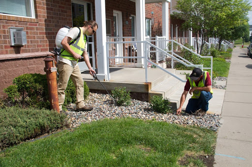 Landscape Architect «Maple Crest Landscape», reviews and photos, 2425 Hwy 55, Medina, MN 55340, USA