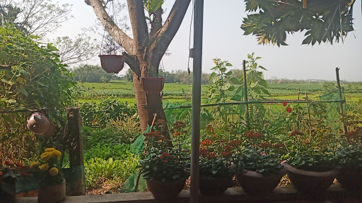 Nhà Ông Hồ Công Sáu