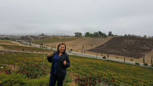 Temecula Olive Oil Company image