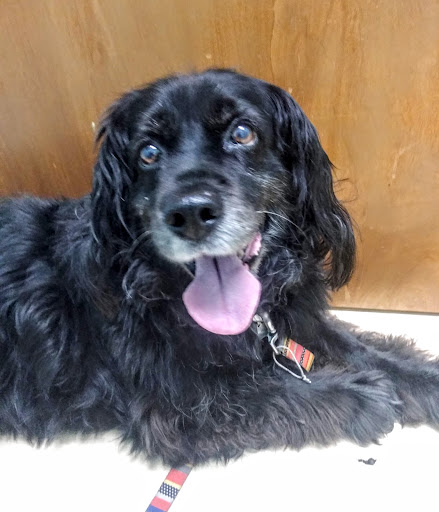 1402 N Highland Ave NE # 3, Atlanta, GA 30306, USA