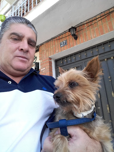 Centro Médico Quirúrgico Veterinario La Encinilla, S.l. en San Martín de Valdeiglesias