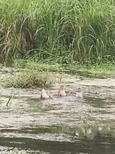 Battle Site «Third Battle of Winchester Battlefield Park», reviews and photos, 541 Redbud Rd, Winchester, VA 22603, USA