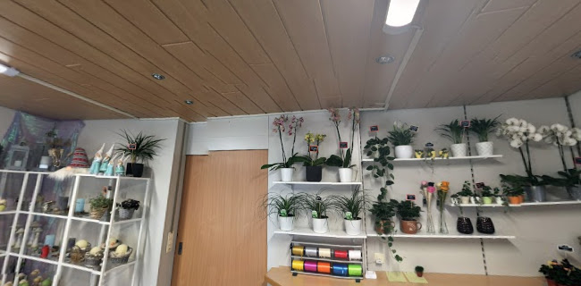 Rezensionen über Chiara's Creative Factory in Bülach - Blumengeschäft