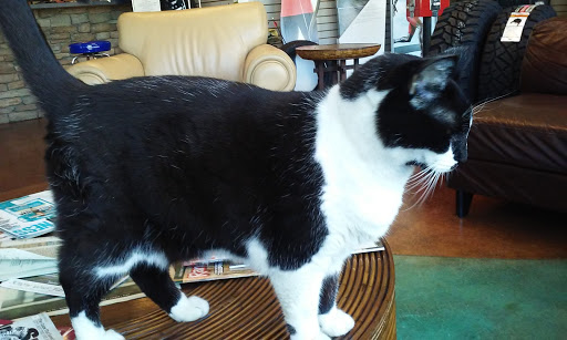 Tire Shop «Burnett-White Tire Pros», reviews and photos, 412 E Main St, Salisbury, MD 21804, USA