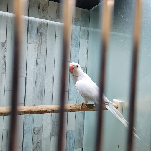 Pet Supply Store «Pet Food Center», reviews and photos, 4036 N First Ave, Evansville, IN 47710, USA