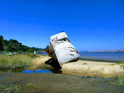 Grocery Store «Inverness Store», reviews and photos, 12784 Sir Francis Drake Blvd, Inverness, CA 94937, USA