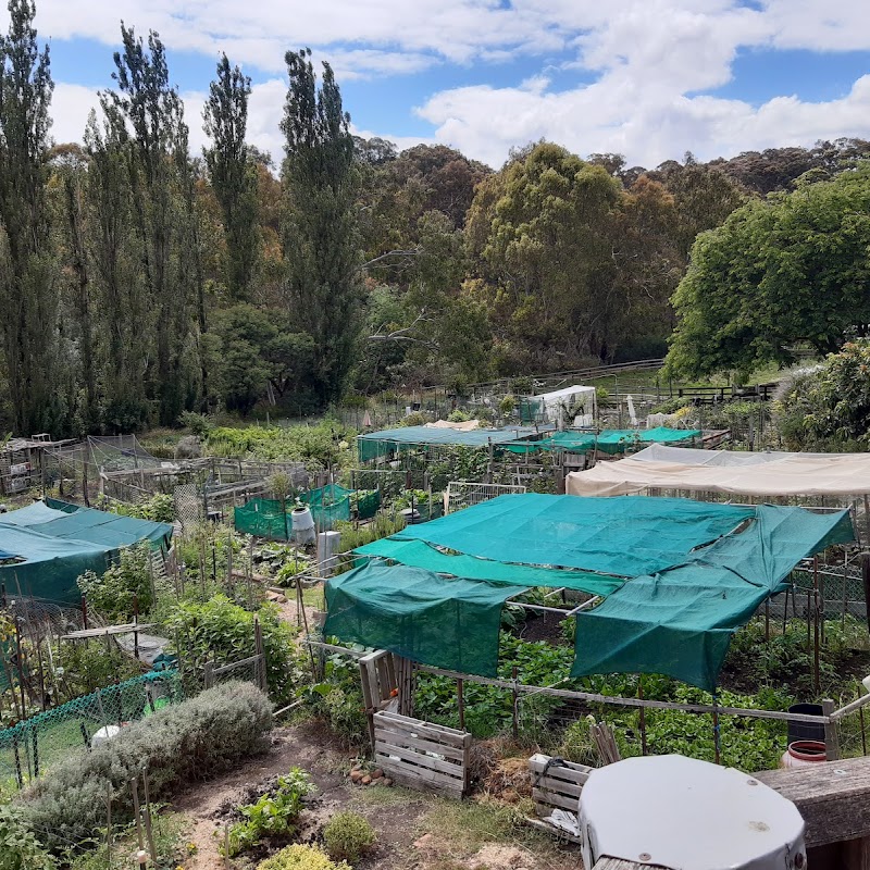 Collingwood Children's Farm