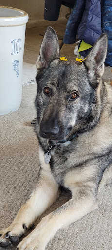 Pet Supply Store «Pet Supplies Plus», reviews and photos, 5050 S Federal Blvd #25a, Englewood, CO 80111, USA