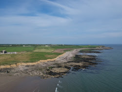 Bannow Island Beach'in fotoğrafı çok temiz temizlik seviyesi ile