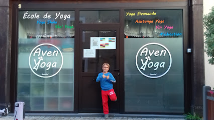 Aven Yoga Sébastien Guinier EIRL