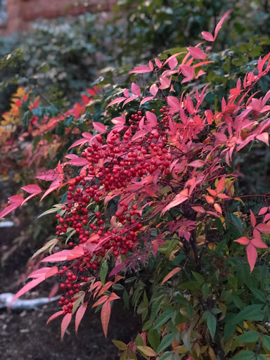 Park «Noble Woods Park», reviews and photos, 475 SE Century Blvd, Hillsboro, OR 97123, USA