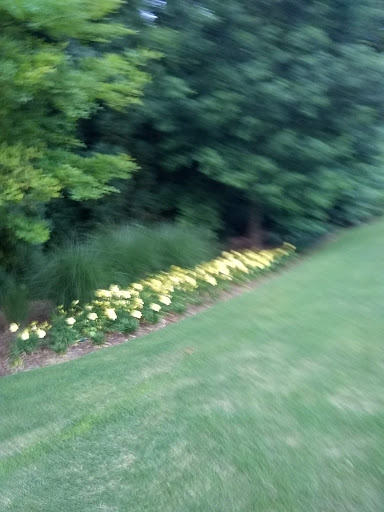 Park «Abernathy Greenway», reviews and photos, 70 Abernathy Rd NE, Sandy Springs, GA 30328, USA