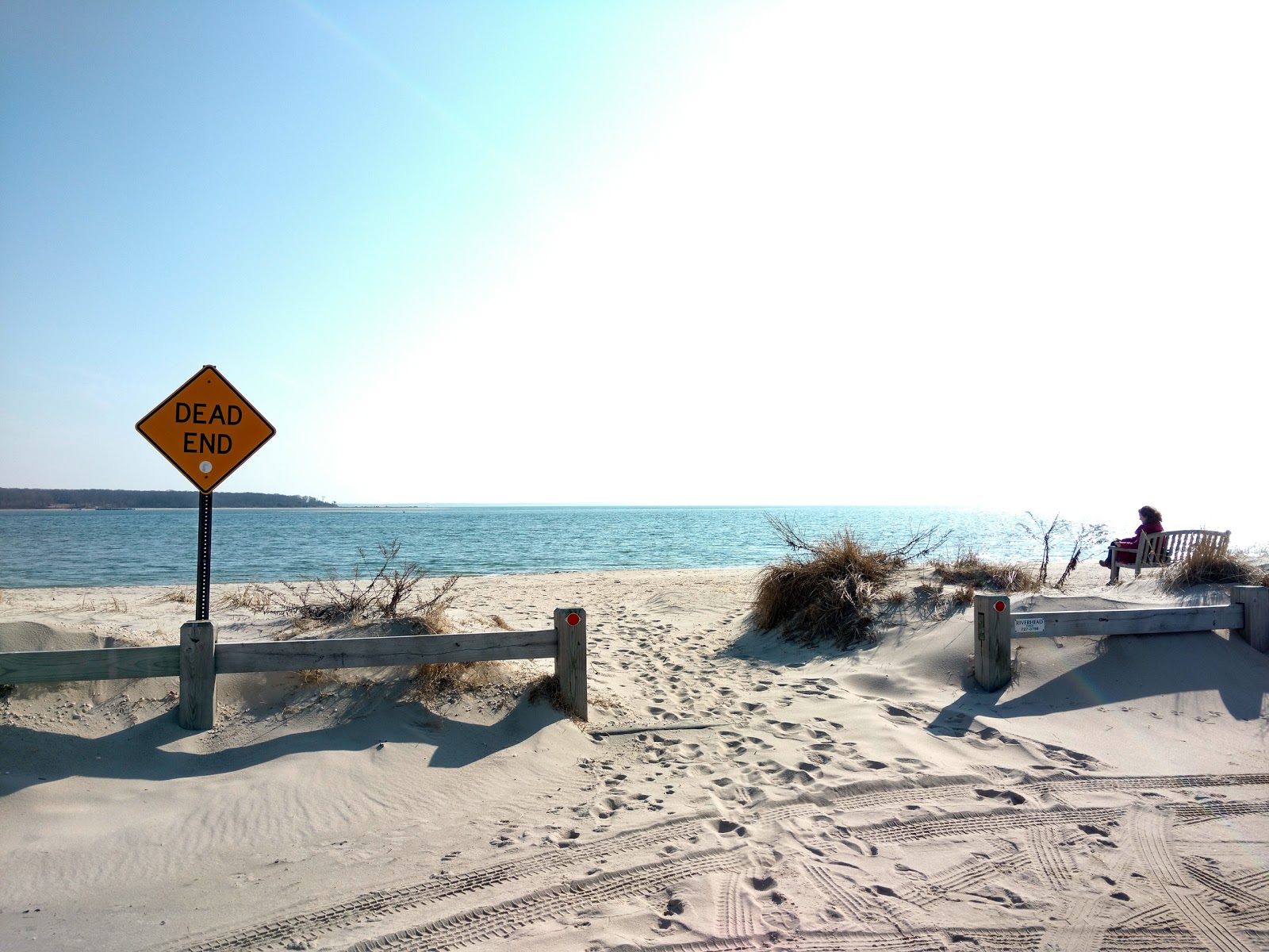 Photo of New Suffolk Beach with very clean level of cleanliness