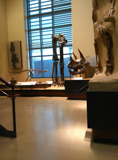 Museum «Beneski Museum of Natural History», reviews and photos, 11 Barrett Hill Rd, Amherst, MA 01002, USA