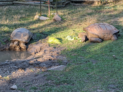 Zoo «Blank Park Zoo», reviews and photos, 7401 SW 9th St, Des Moines, IA 50315, USA