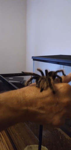 Pet Supply Store «Pet Supplies Plus», reviews and photos, 911 N Cable Rd a, Lima, OH 45805, USA