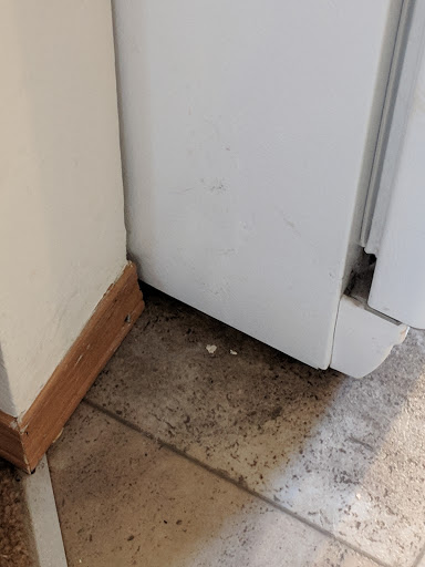 House Cleaning Service «Molly Maid», reviews and photos, 3640 S Cedar St, Tacoma, WA 98409, USA